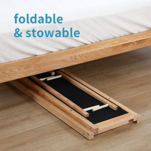 ramp for dogs for bed