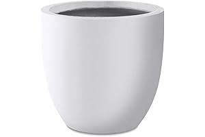 Kante 14 Inch Christmas Tree