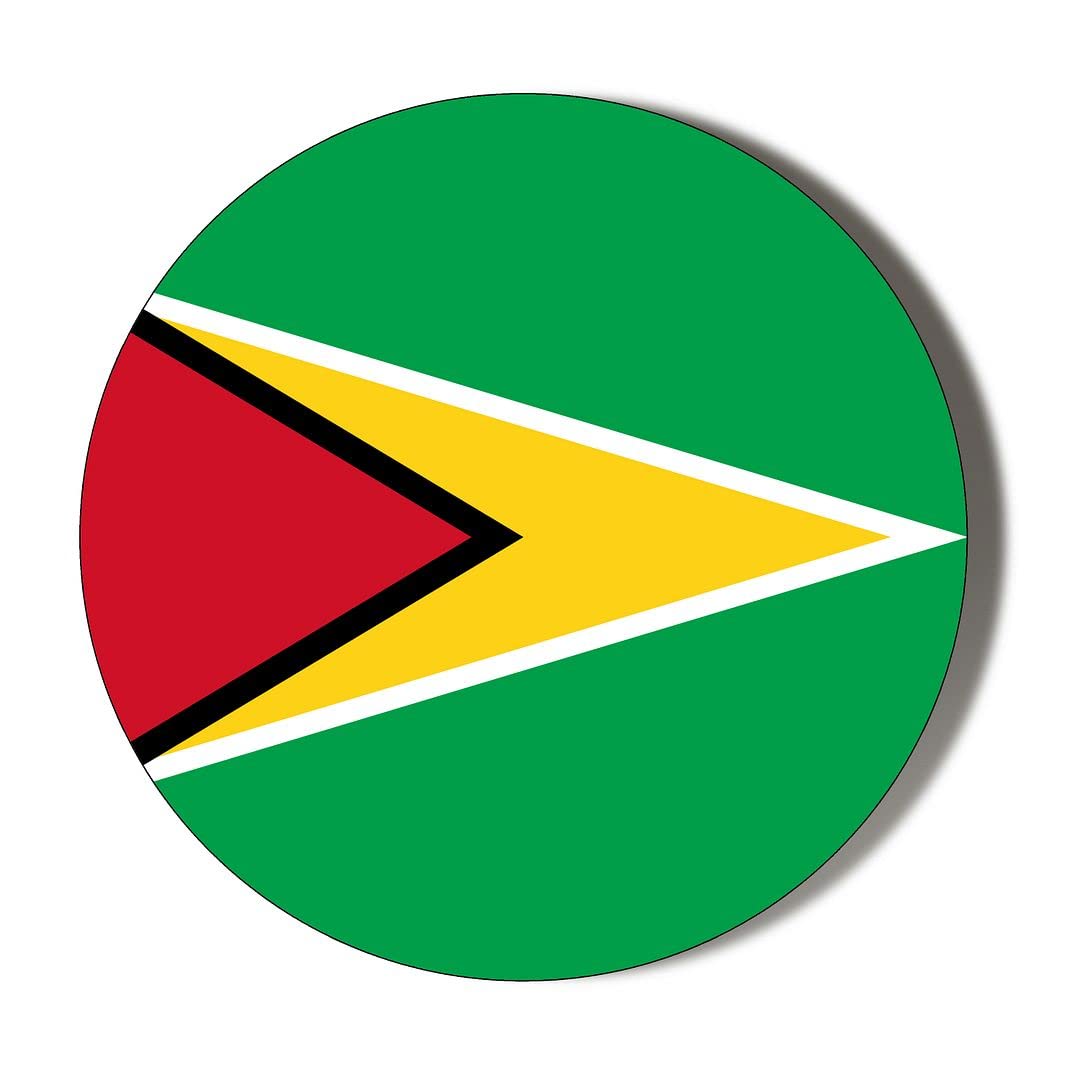 Gift Insanity White Guyana Flag 45Mm Fridge Magnet