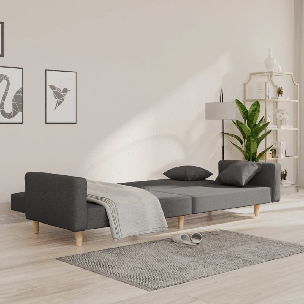 Divano Letto a 2 Posti con 2 Cuscini Grigio Scuro in Tessuto,Divano,Divano da Soggiorno,Design Moderno,Divano Posti Economico-375742