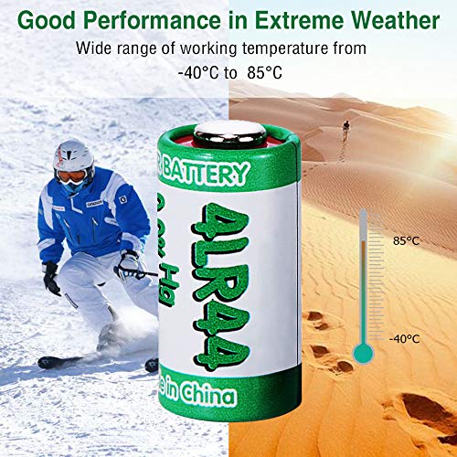 10 Pack 6V Alkaline Batteries (4LR44/PX28A) for Dog Collars