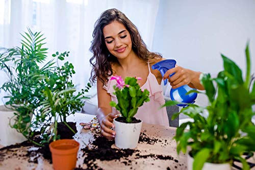 Nekava Sprühflasche leer 350ml | Verstellbarer Sprühkopf für feinen Nebel & Strahl | Hochglänzende Flasche mit Pearl-Effekt | Für Haare, Pflanzen, Reinigung, Fenster, Garten, Haushalt