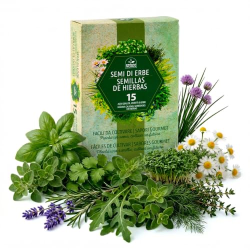 Nojus – Semillas de hierbas 15 variedades – Planta, semillas de cocina, set de plantas aromáticas para huerto y jardín