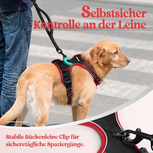 rabbitgoo Hundegeschirr Mittelgroße Hunde, Anti Zug Geschirr mit Kontrolle, No Pull Verstellbar Hundegeschirr Grosse Hunde, Atmungsaktiv Reflexstreifen Brustgeschirr Sichere Führung Schwarz+Rot L