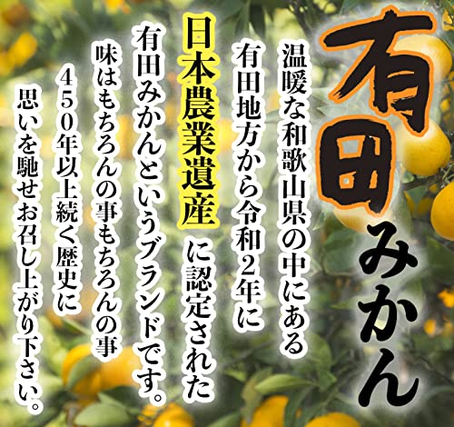 KINOMI JUICY 有田みかん の商品画像 1