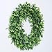 Lvydec Artificial Green Leaves Wreath - 15