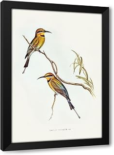ArtDirect Australian Bee-eater-Merops ornatus Custom Framed Art Print Giclee Print or Canvas Options with Various Sizes and Customization by Gould, John