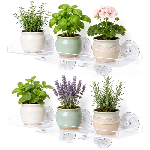 30% Off Window Plant Shelves with Code ZWBSTTUY