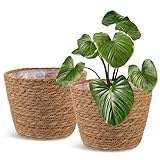 Healifty Straw Woven Plant Basket 2PCS Rattan Flower Basket Indoor with Plastic...