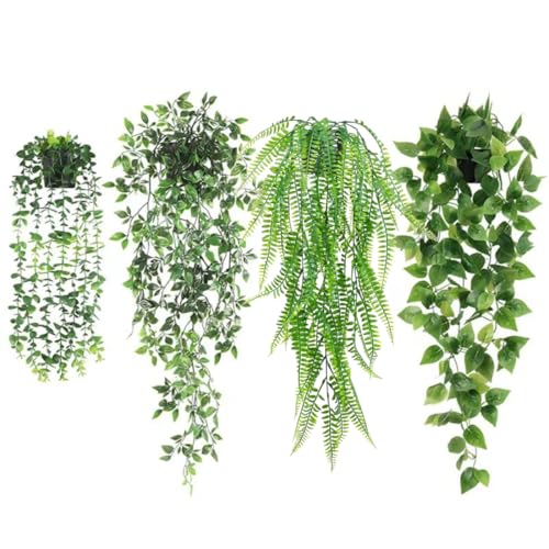 office desk plants