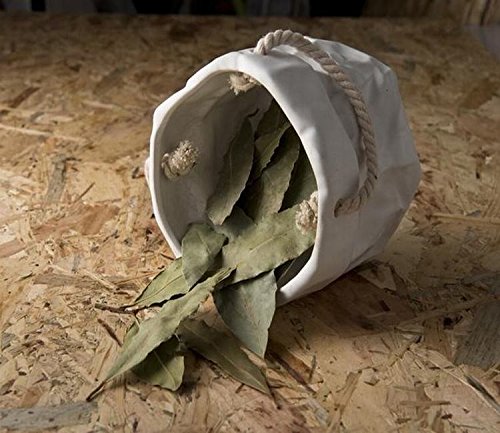 Laurel en hoja a granel - 1000