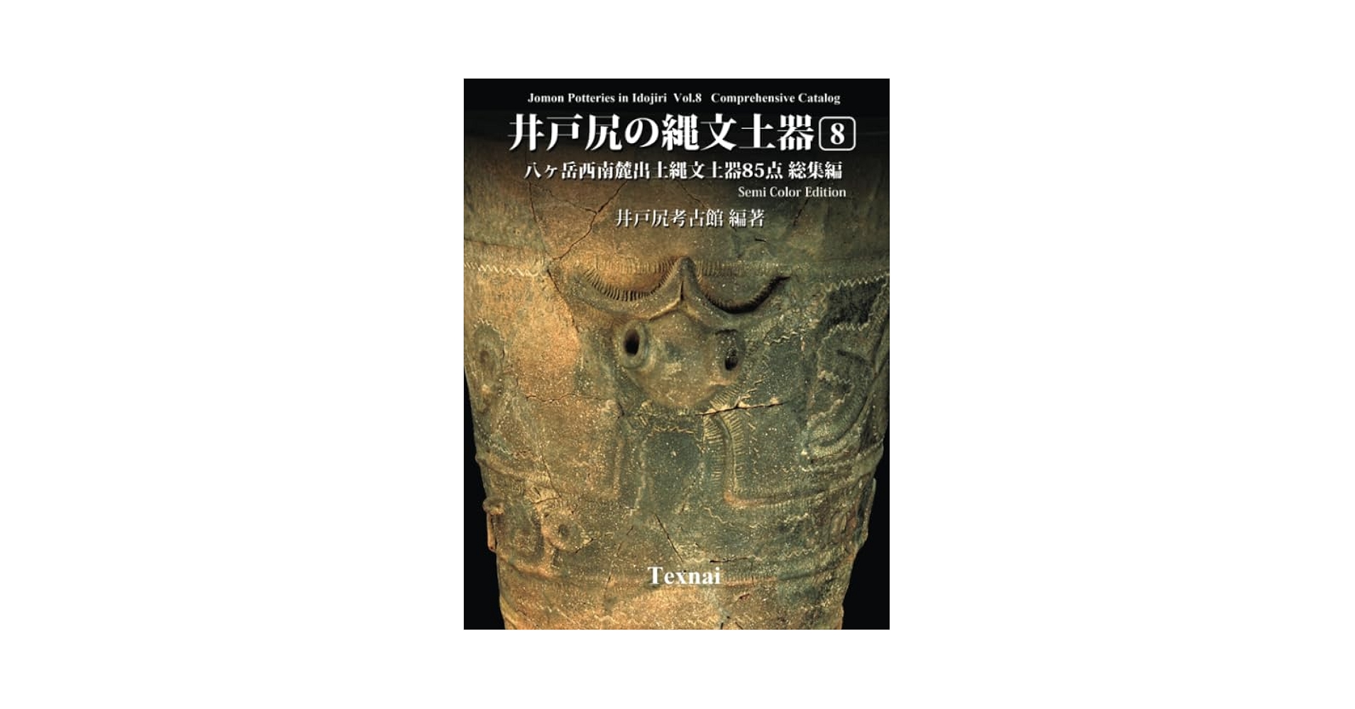 井戸尻 長野県富士見町における中期縄文時代遺跡群の研究 井戸尻 長野県富士見町における中期縄文時代遺跡群の研究 井戸尻