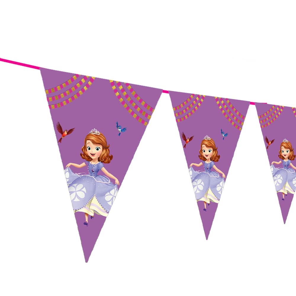 WoW Party Studio Sofia Princess Theme Happy Birthday Decorations Flag pennants Buntings Banner - 10ft Long