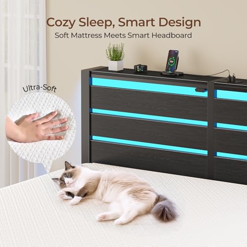 Image of Rolanstar Twin Bed Frame with 6 Inch Gel Memory Foam Mattress, LED Metal Platform Bed with USB Charging & Storage Headboard, Black, CertiPUR-US Certified Mattress