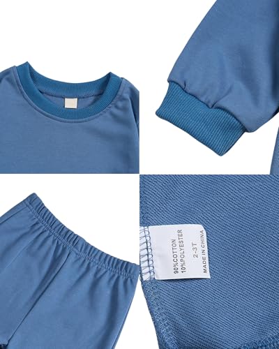 Toddler Baby Cute Dog Puppy Long Sleeve Sweatshirt Top Jogger Pants Set Cute Fall Winter Clothes Set4