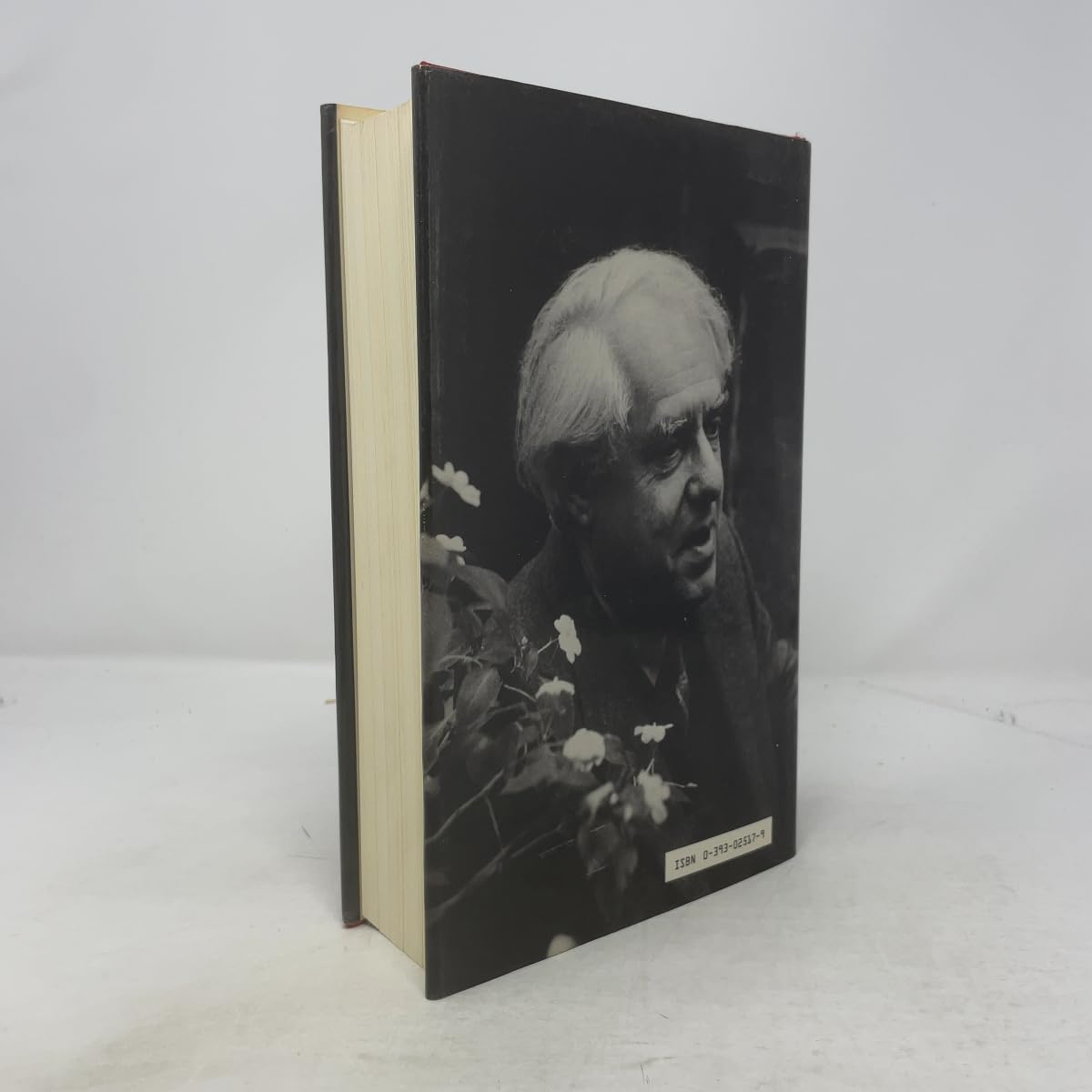 Freud: A Life for Our Time