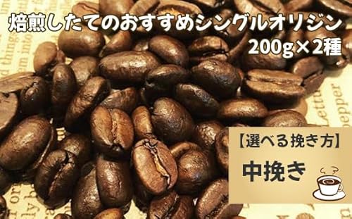 焙煎したてのおすすめシングルオリジン 200g×2種(中挽き)[No.170-03]
