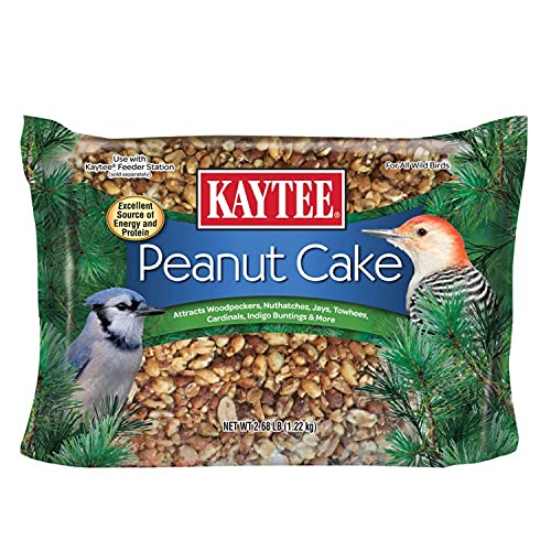 Kaytee Wild Bird Peanut Cake, 2.68 lb