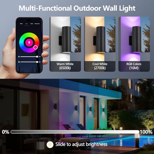 Nigaut Smart Outdoor Wall Lights, 30W Exterior/Interior Lighting Fixture Compatible with Alexa, IP65 Waterproof Up and Down Lights Outdoor for Porch Garden, 2.4 GHz Wi-Fi & App Control