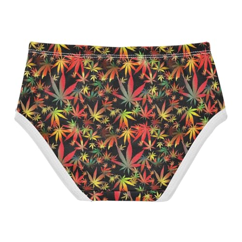 Joisal Cotton Toddlers Underwear Floral Gradient Orange Leaves Black Panties for Girl Durable Briefs Underpants 2t2