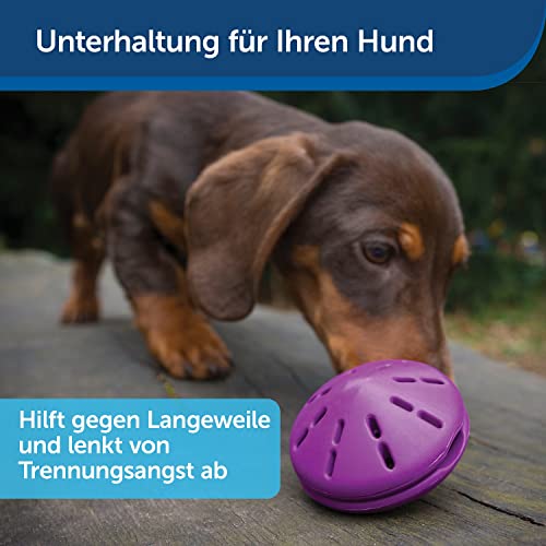PetSafe Twist-n-Treat Hundespielzeug, Befüllbares Snackspielzeug mit anpassbarer Ausgabe, Spülmaschinenfest, Lila