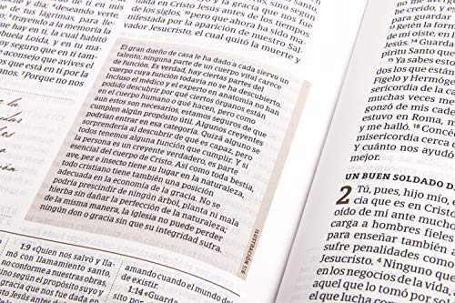 Image of RVR 1960 Biblia de estudio Spurgeon, negro /marron simil piel (Spanish Edition)