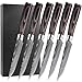 Produktbild BFYLIN Steakmesser 6-Teilig Set, hochwertiger deutscher Edelstahl Steak Messer, ultrascharfe gezackte Klinge und ergonomischer Holzgriff, Tafelmesser mit Geschenkbox (6-Teilig Set)