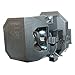 Projector Replacement Lamp, for EPSON ELPLP57 / V13H010L57, Compatible with BrightLink 450Wi, BrighLink 455Wi, PowerLite 450W, PowerLite 460, EB-440W, EB-450W, EB-450Wi, EB-455Wi, EB-460, EB-460i, EB-