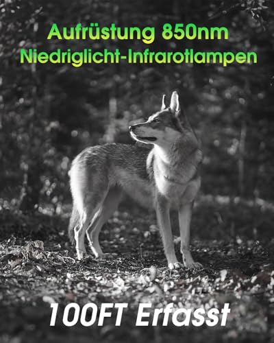 KJK Wildkamera mit Handyübertragung APP, 4K 64MP HD WLAN Bluetooth mit 64GB Speicherkarte,...