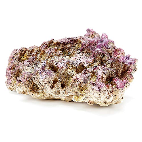 Pet Ting Décoration réaliste en Forme de Corail Violet 24,5 cm 1 kg