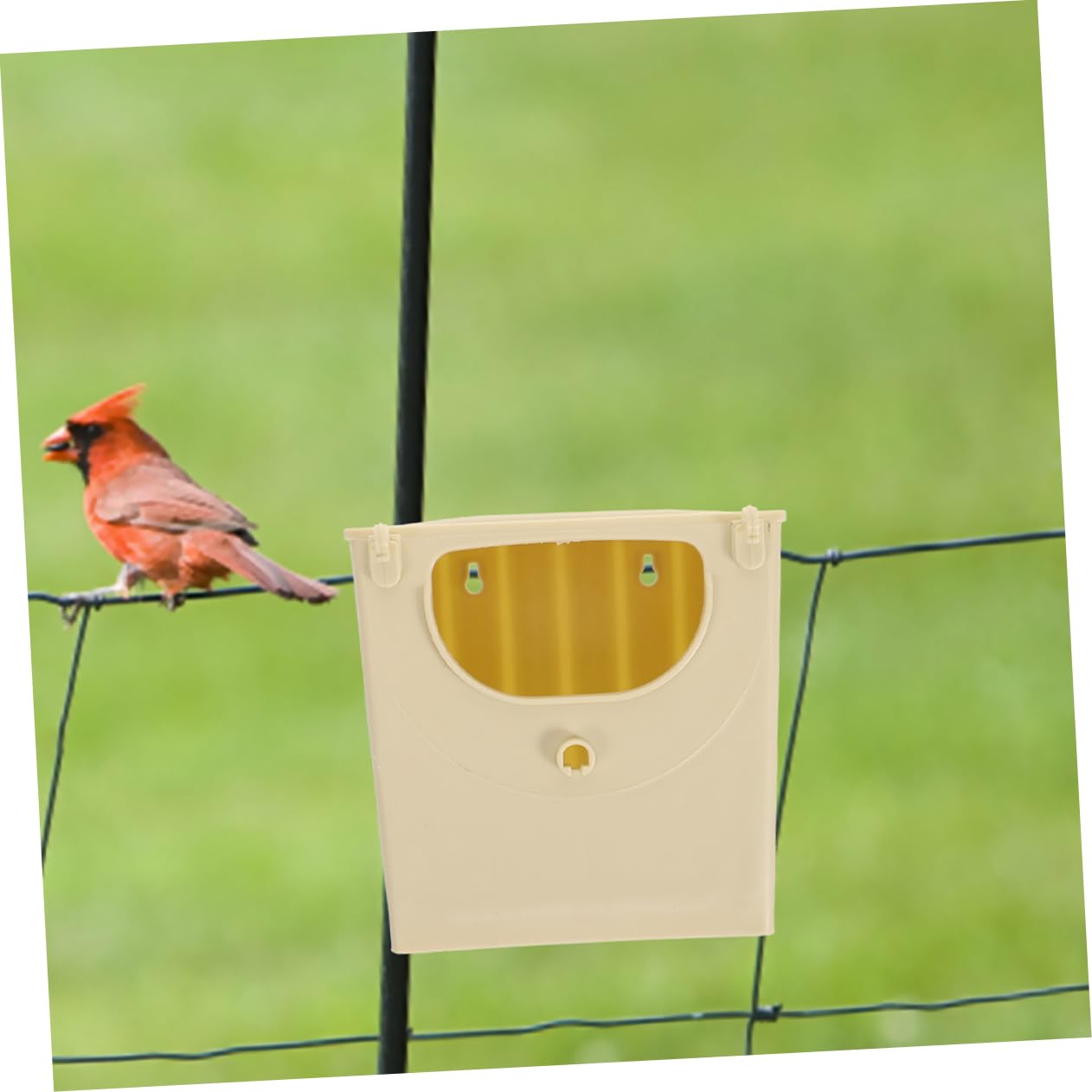 Levemolo 5 Stück Plastik Papageienbrutnest Kunststoff Nistkasten Vogelbrutkasten Nymphensittich Vogelhaus Für Garten Vogelzucht