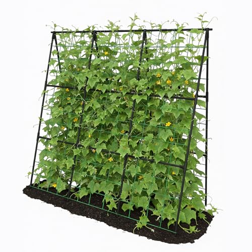 Trellume Cucumber Trellis - 49.4'*49.4' Metal Garden Trellis for Climbing Plants, Garden Trellis...