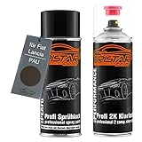 Con un gran rendimiento y fácil de usar; botes de spray con cabezal pulverizador regulable.