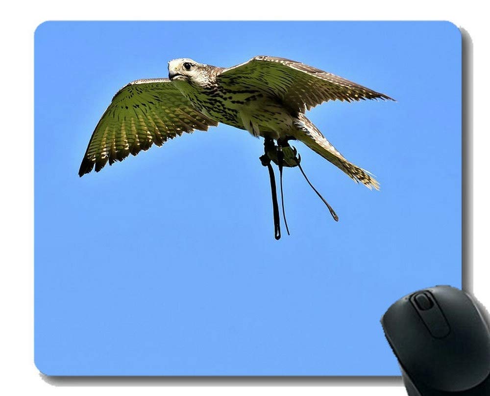 Falcon Gaming Mouse Pad,Birds Mouse Pads