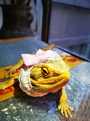 Lazo rosa a cuadros para dragón barbudo miniatura 7