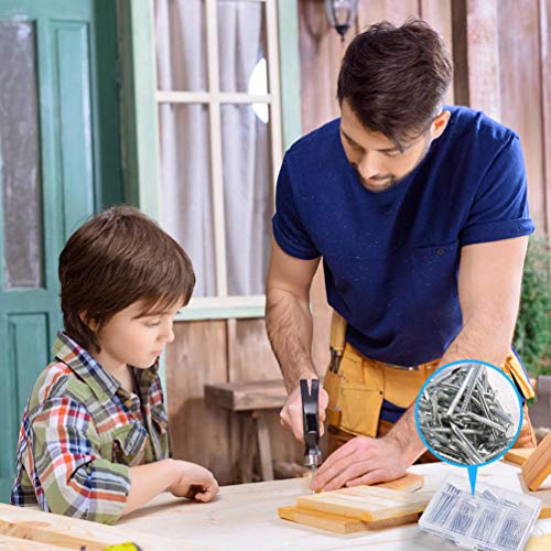 image for JEGONFRI 376pcs Premium Hardware Nails Assortment Kit, Maximum Length 