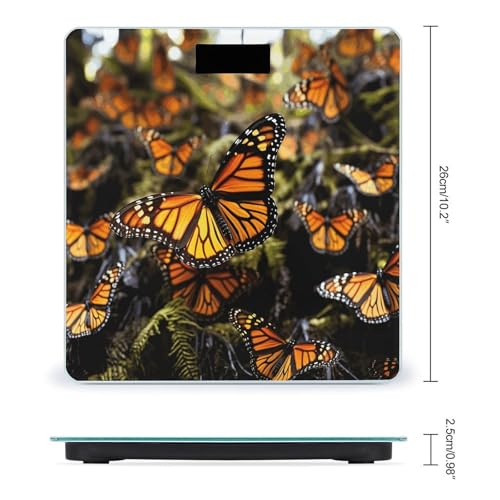 Báscula Digital de Baño con Pantalla LCD y Vidrio Templado miniatura 2