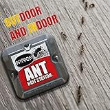 Ant Bait Station Twin Ant Killer Outdoor & Indoor - Ant Trap - Ant Nest Killer Traps No Mess Clean and Easy to Use Ideal For Home Garden - Image 6