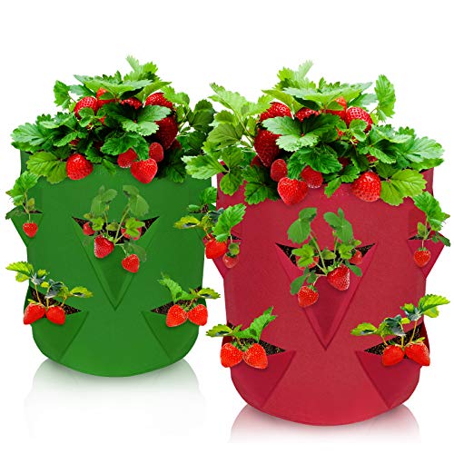 Teamkio 2 Stück Erdbeer-Pflanzbeutel, Erdbeer-Pflanzgefäß, Gemüsepflanzen, mit Fensterklappe und Gurtgriffen, atmungsaktiv, für Gartenpflanzen, Erdbeeren, Kräuter, Blumen Cover