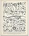 Animal Skeletons Illustration - 11x14 Unframed Art Print - Biology Lab Decor