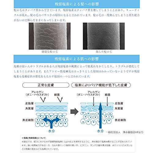 アメリカで肌と髪のトラブルを解消 塩素除去シャワーヘッドの話 カモブログ