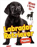  Labrador Retriever Puppies (When I Grow Up.) (English Edition)