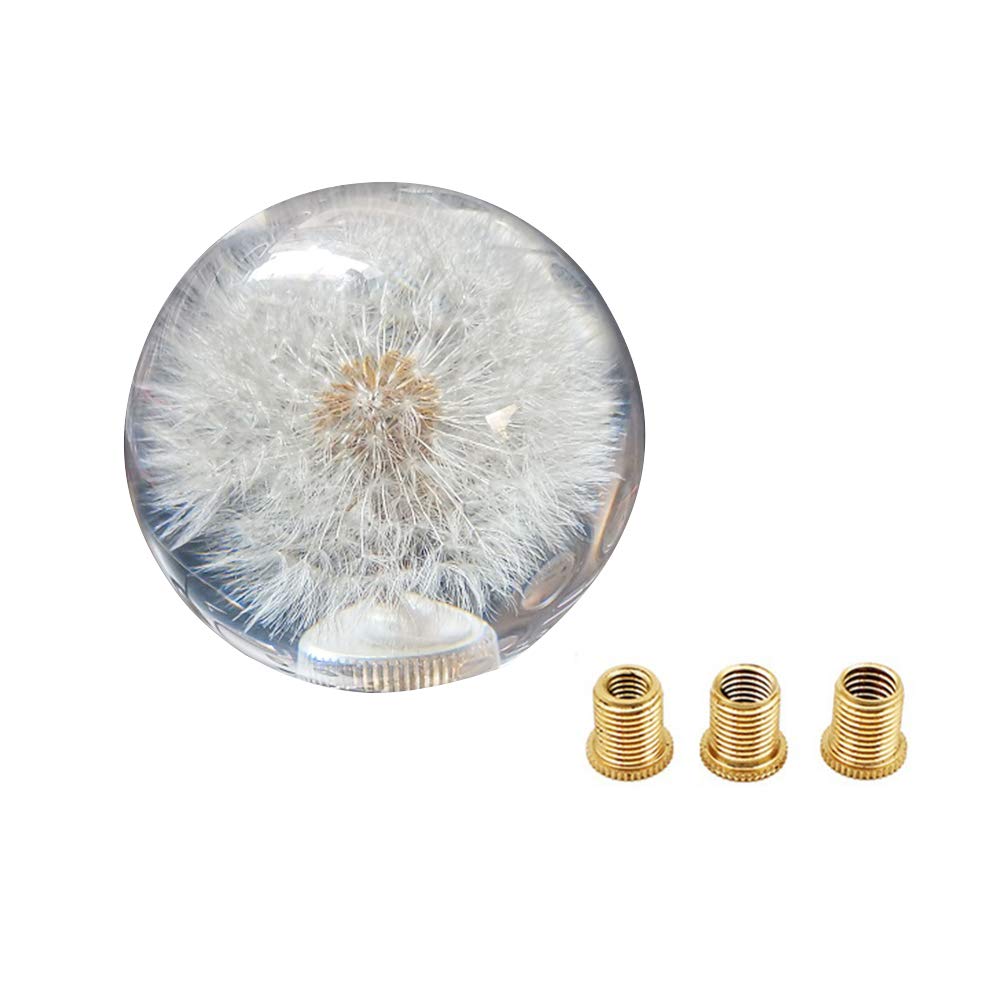 ORBITGLASS dtto. Limited Edition ナンバー有 ORBIT GLASS dtto. Limited Edition ナンバー有