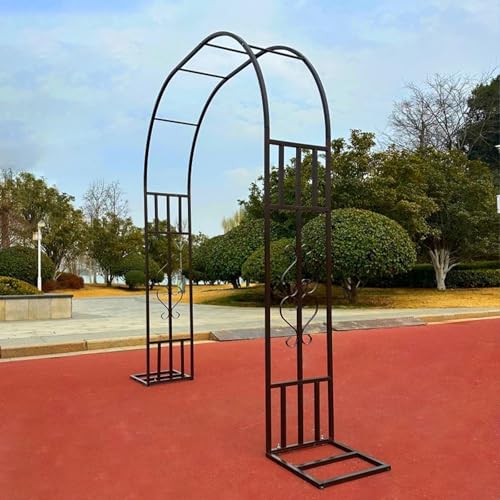 Arche à rosiers de 180 cm treillis de jardin en métal robuste noir