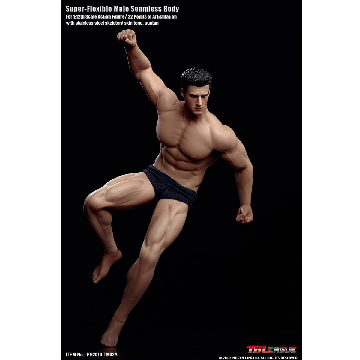 Amazon.co.jp: HiPlay TBLeague 1/12 シームレス 男性 筋肉素体 ヘッド