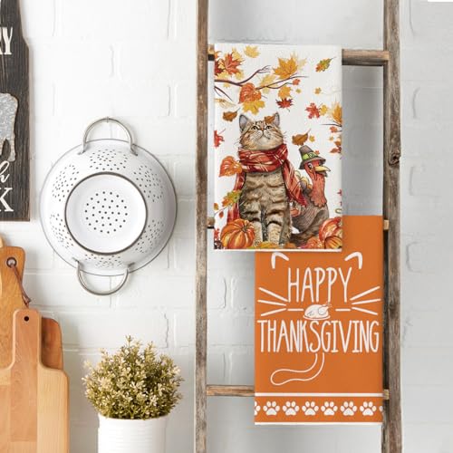 Artoid Mode DISHTOWEL-THANKSGIVING-4075-2PC-013 Cat Happy Thanksgiving Kitchen Towels Dish Towels thumb #2