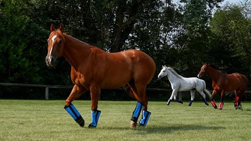Warrior Fly Boots for Horses - Breathable Mesh Horse Boots for Fly Protection & Leg Comfort - Set of 4 (Knight Warrior, Neon Orange) - Image 4