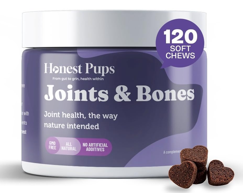 Honest Pups Dog Joint Supplement β 120 Soft Chews | Glucosamine, Chondroitin, MSM & Hyaluronic Acid for Dogs β Hip & Joint Support, Mobility & Flexibility β Senior Dogs, All Breeds
