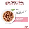 Royal Canin Kitten Sterilised Gravy Yavru Kedi Konservesi, 85 g