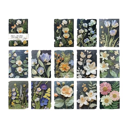 23  R[W fށAV[ ̎qA lߍ킹 Be[W wi  蒠 V[ m[g ubN A킢 e R[W fގ AfUCy[p[ a g  A ̎q V[